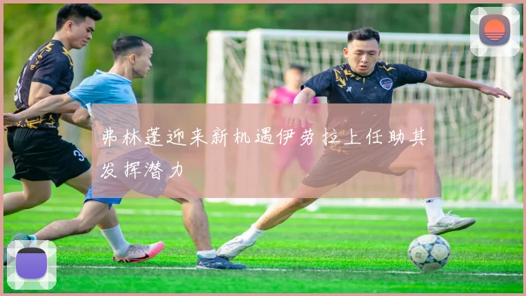 弗林蓬迎来新机遇伊劳拉上任助其发挥潜力