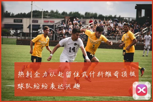 热刺全力以赴留住武什科维奇顶级球队纷纷表达兴趣